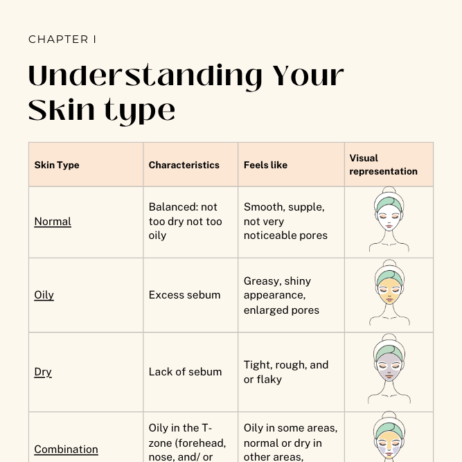Table showing different skin types—Normal, Oily, Dry, and Combination—along with their characteristics, how they feel, and visual representations of each.